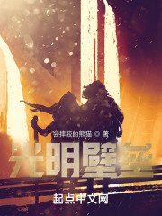 光明壁垒主角身世介绍图