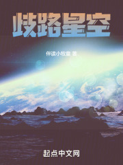 歧路星空小说