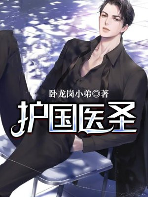 护国医圣 卧龙岗小弟