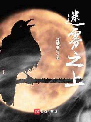 迷雾之上 百度网盘