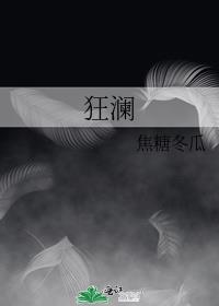 狂澜小说