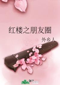 红楼之朋友圈书评