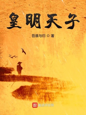 皇明天子 小说为什么不更了