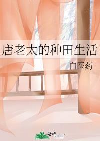唐老太的种田生活免费阅读