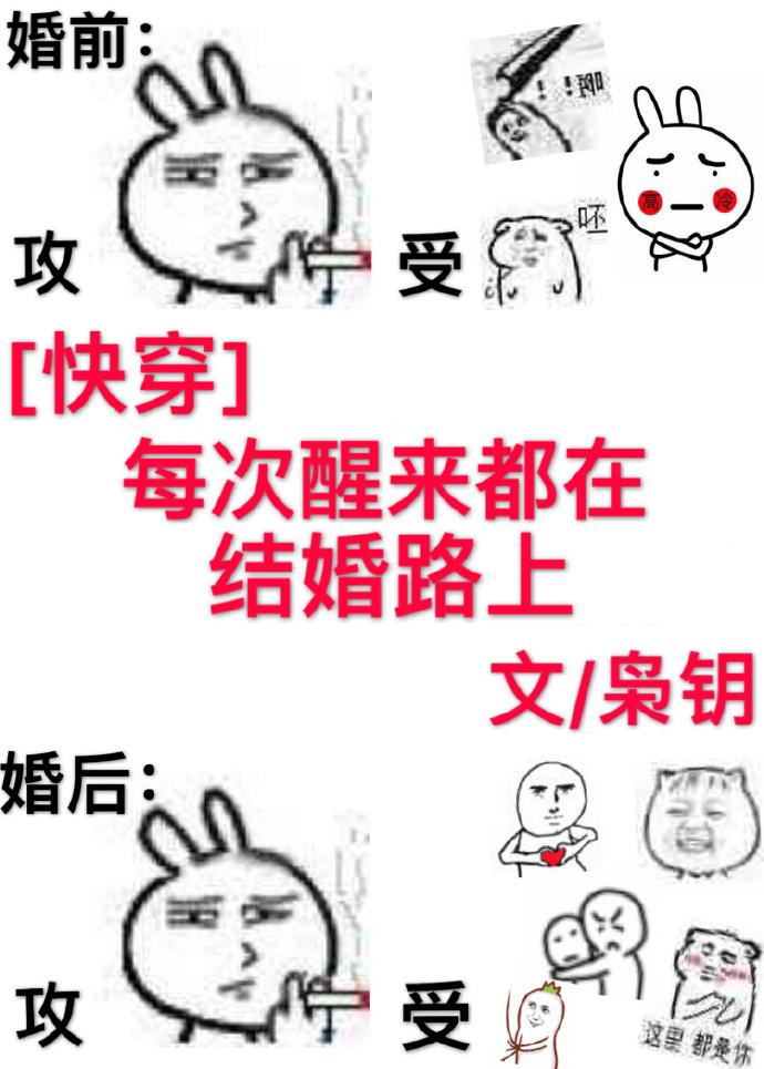 每次醒来都在结婚路上免费阅读