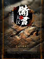 大汉储君起点