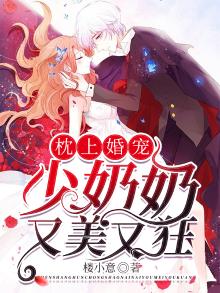 枕上婚宠 唐少宠妻有一套