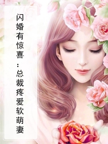 闪婚总裁疼妻入骨 小说