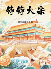铮铮大宋 小说 免费