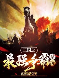 三国之美女如此多娇小说