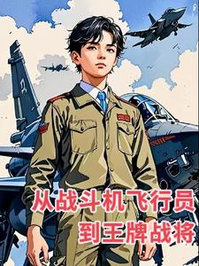 主角战斗机飞行员小说