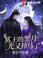 冥王的腹黑王妃