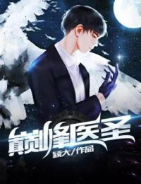 巅峰医圣陈枫免费阅读