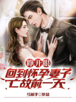 睁开眼,回到怀孕妻子亡故前一天张流年**青 第501章