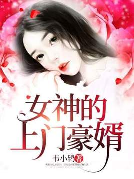 女神的上门豪婿免费收听完整版