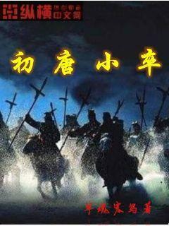 初唐小卒 小说