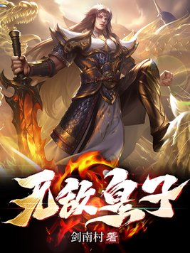 无敌皇子小说