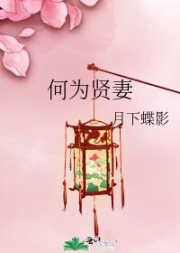 何为贤妻txt