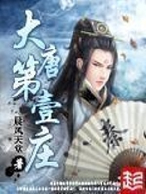 大唐第一庄TXT下载