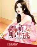 萌妻哪里逃